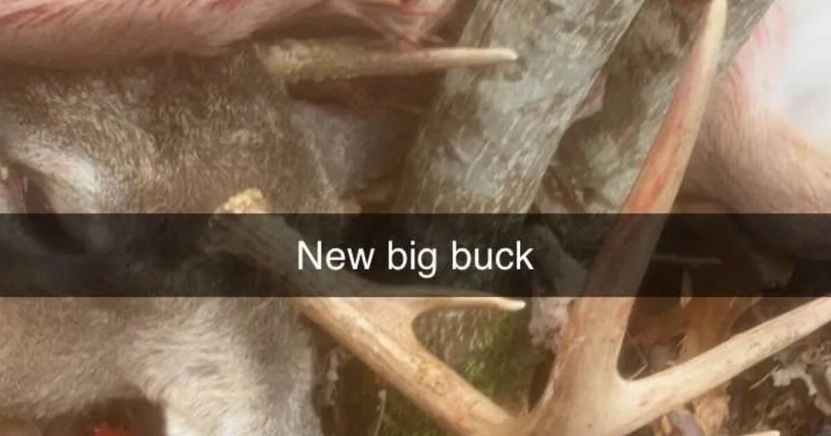 Deer Meat in Charleston, WV For Sale & Free — Nextdoor