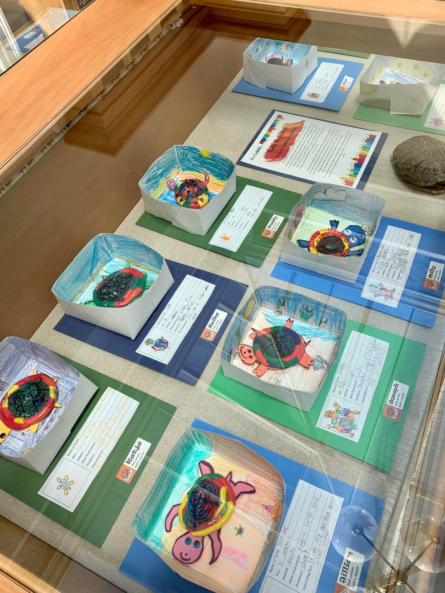 Ball’s Bluff Elementary School Turtle Exhibit on Display at Thomas