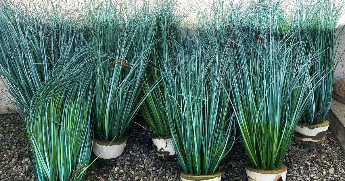 Free Artificial Grass picked up for Free in Torrance, CA For Sale