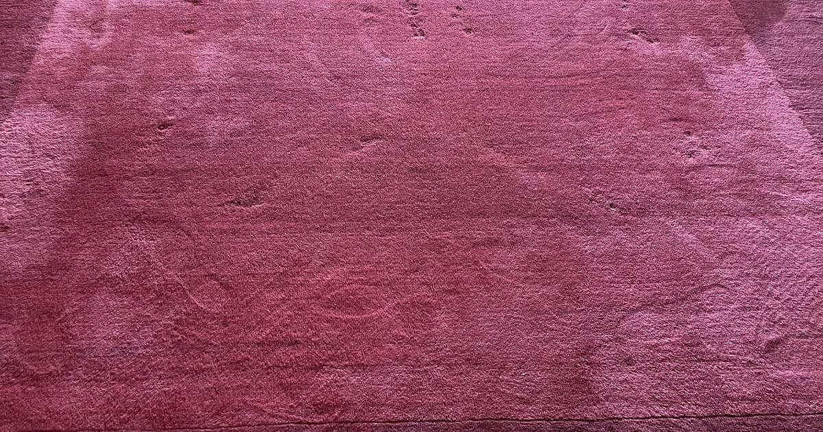 Pottery Barn rug for Free in Towson, MD Finds — Nextdoor