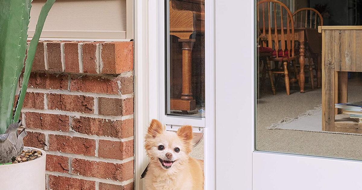 IS0 A doggie door for Free in Walnut Creek, CA Finds — Nextdoor