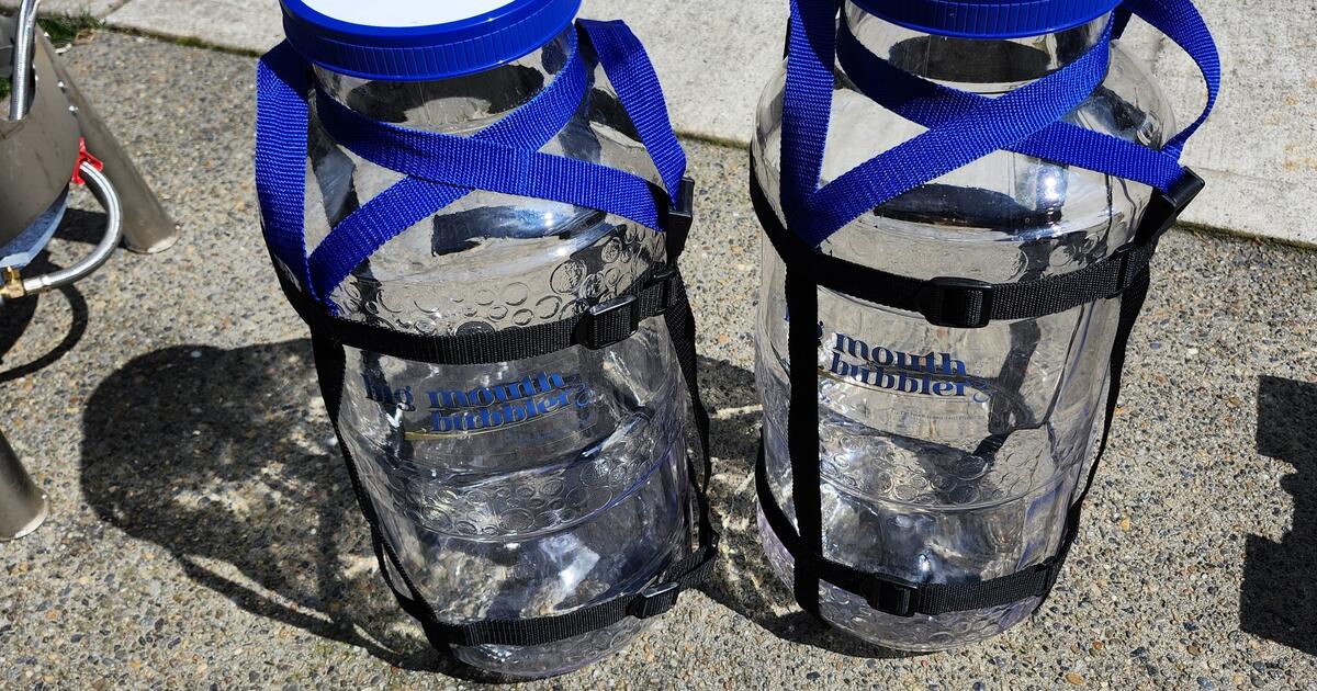 Free to good home Homebrewing equipment for Free in Vancouver, WA