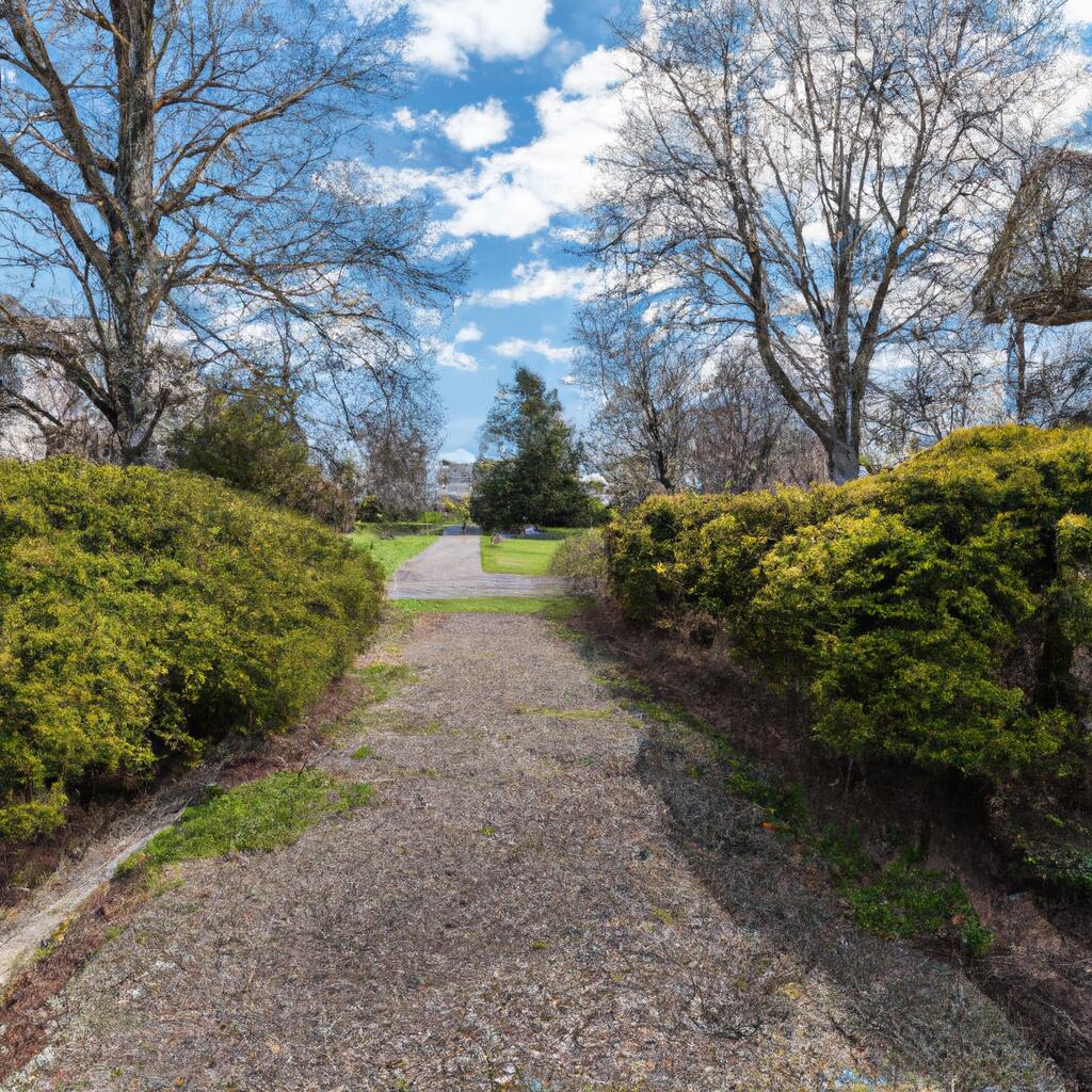 Cedarwood, Waltham News, Crime, Lost Pets, Free Stuff