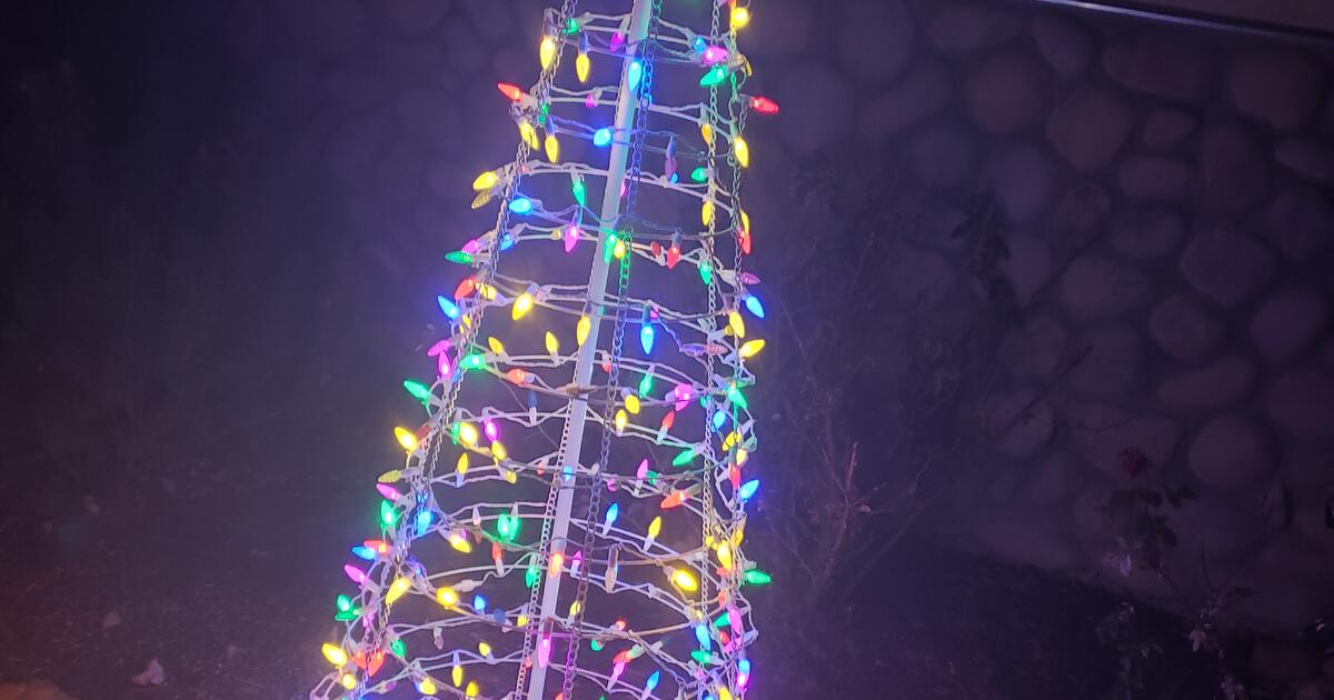 Outdoor Christmas Tree for 25 in Broomfield, CO Finds — Nextdoor