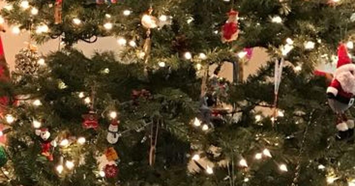 Christmas tree Free. for Free in Harlingen, TX For Sale & Free — Nextdoor