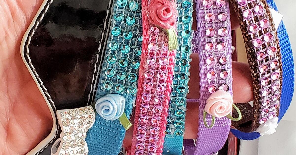 Lots of Pet Supplies & Pet Crates for 1111 in Circleville, OH Finds