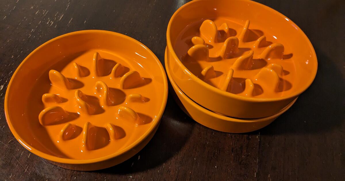 Slow Feeder Pet Bowls For 15 In Springfield IL For Sale Free slow-feeder-pet-bowls-for-15-in-springfield-il-for-sale-free