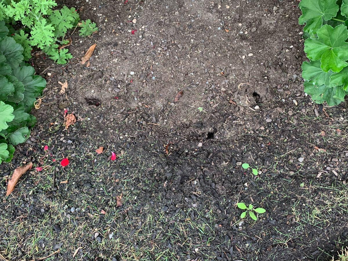 Ace Hardware Parkland Wa Shop head.hesge.ch