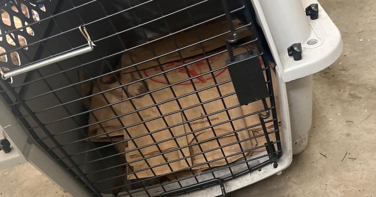 Dog crate for Free in Chanhassen, MN For Sale & Free — Nextdoor