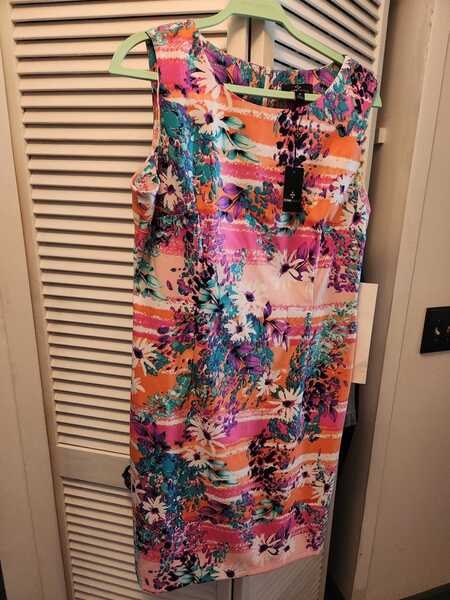 New Ronni Nicole Size 16 Sleeveless Dress For $12 In Sterling Heights, MI | For Sale & Free Nextdoor New Ronni Nicole Size 16 Sleeveless Dress For $12 In Sterling Heights, MI | For Sale & Free Nextdoor
