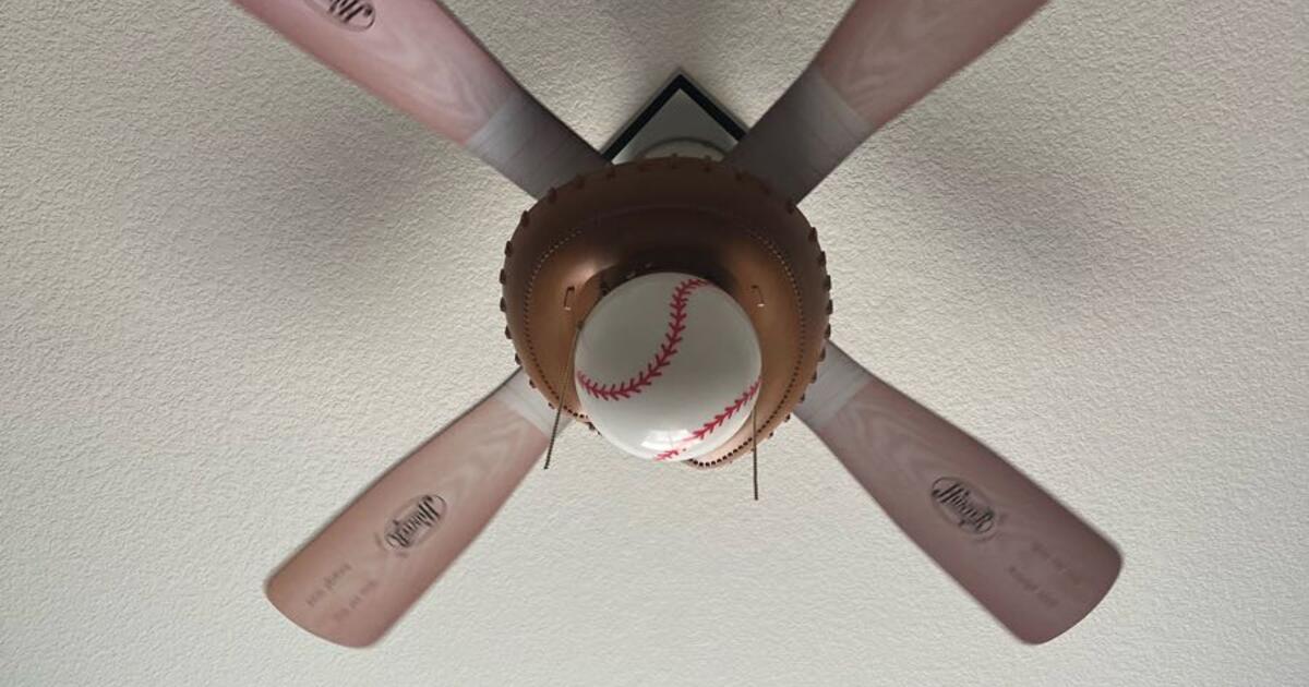 Hunter Baseball Ceiling Fan For 20 In