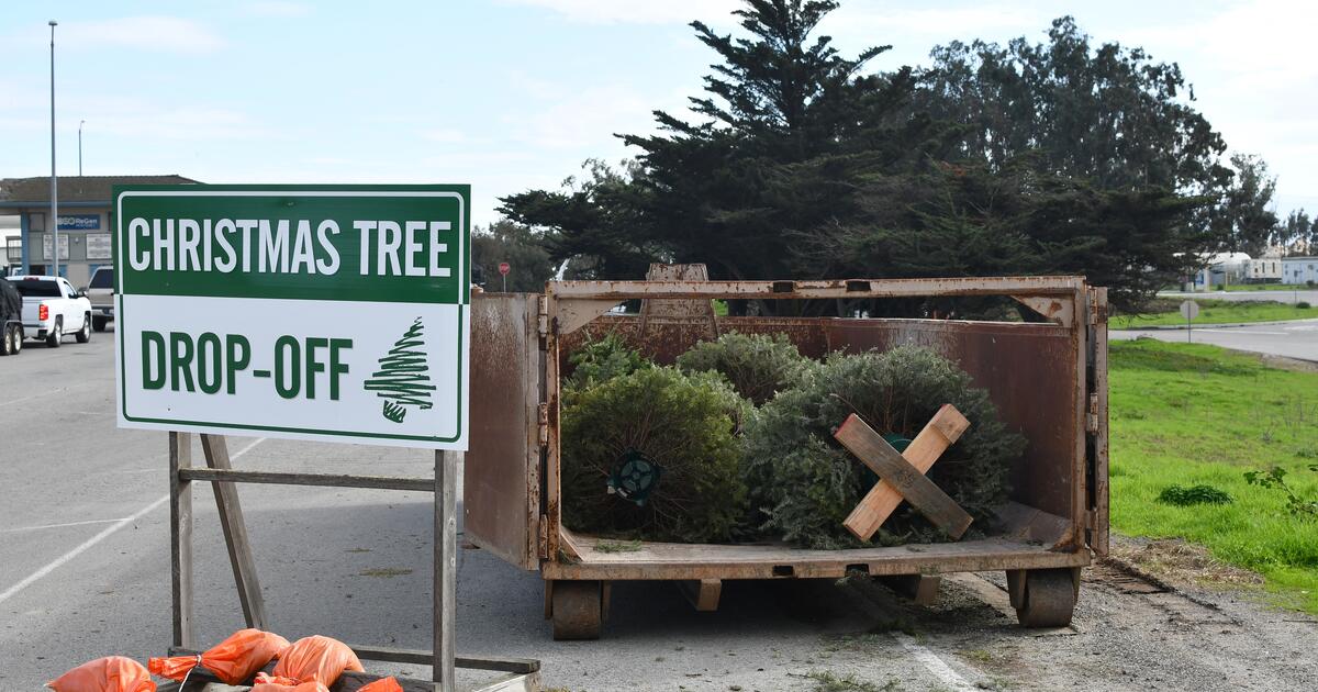 🎄Proper Christmas tree disposal/recycling 🎄 — Nextdoor