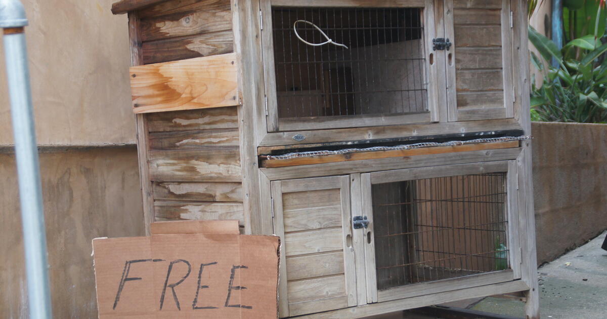 Free Bunny Cage for Free in Hermosa Beach, CA For Sale & Free — Nextdoor