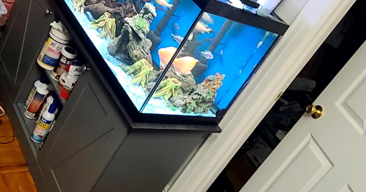 Fish Tank , Only The Things Inside for $7 in Bronx, NY | For Sale ...