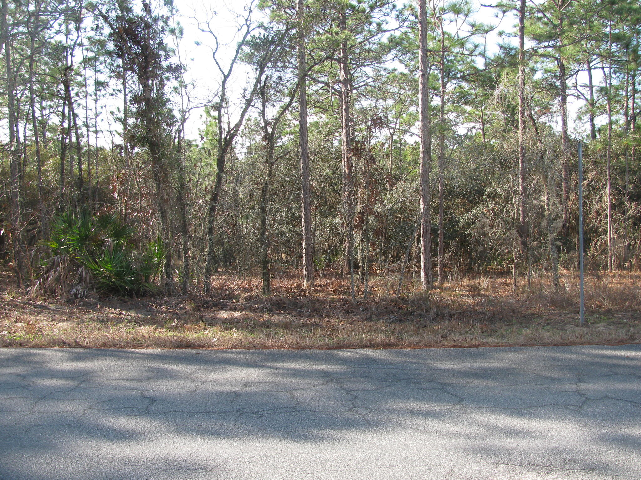 SUGARMILL WOODS LOT IN CYPRESS VILLAGE for 17900 in Homosassa, FL