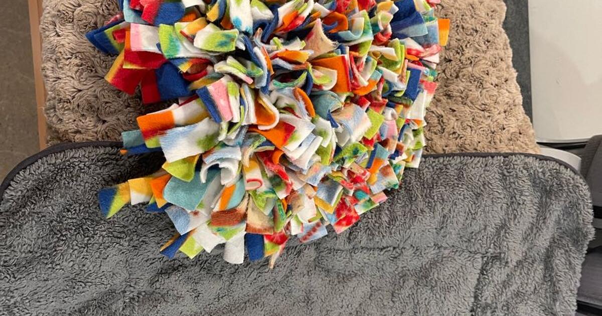 Snuffle Mat + for 5 in Portland, OR For Sale & Free — Nextdoor