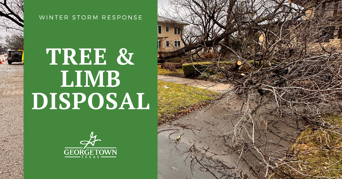 🌳Need to dispose of downed trees and limbs on your property from the