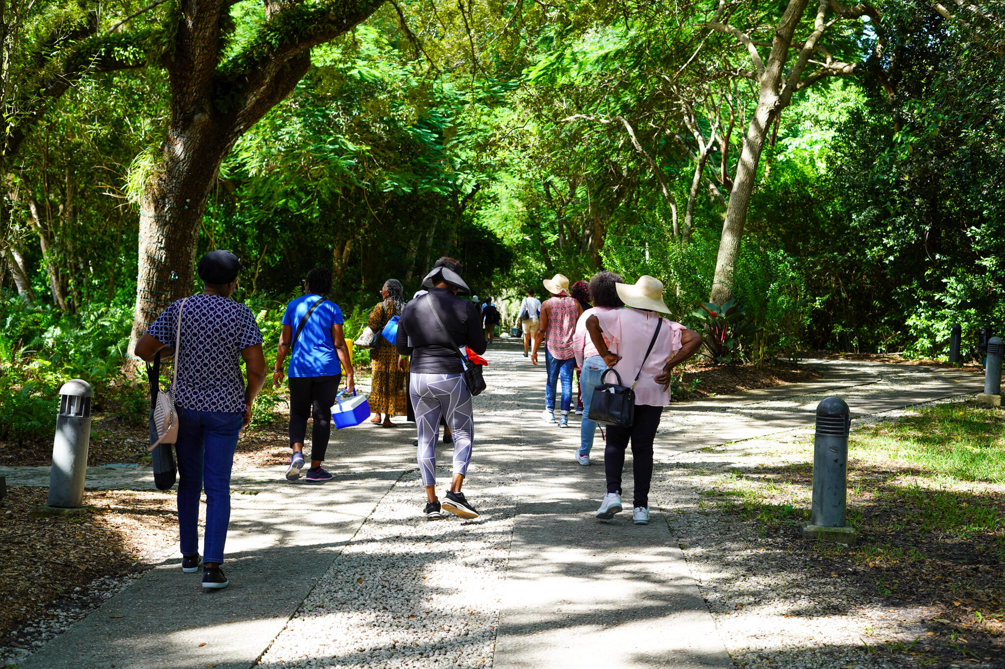 Walk for your health and join the Health and Wellness Fair and Intergenerational Walk at Arcola