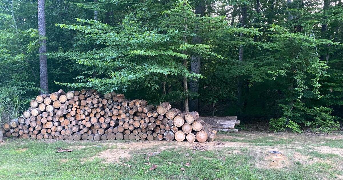 FREE Firewood for Free in Stafford, VA For Sale & Free — Nextdoor