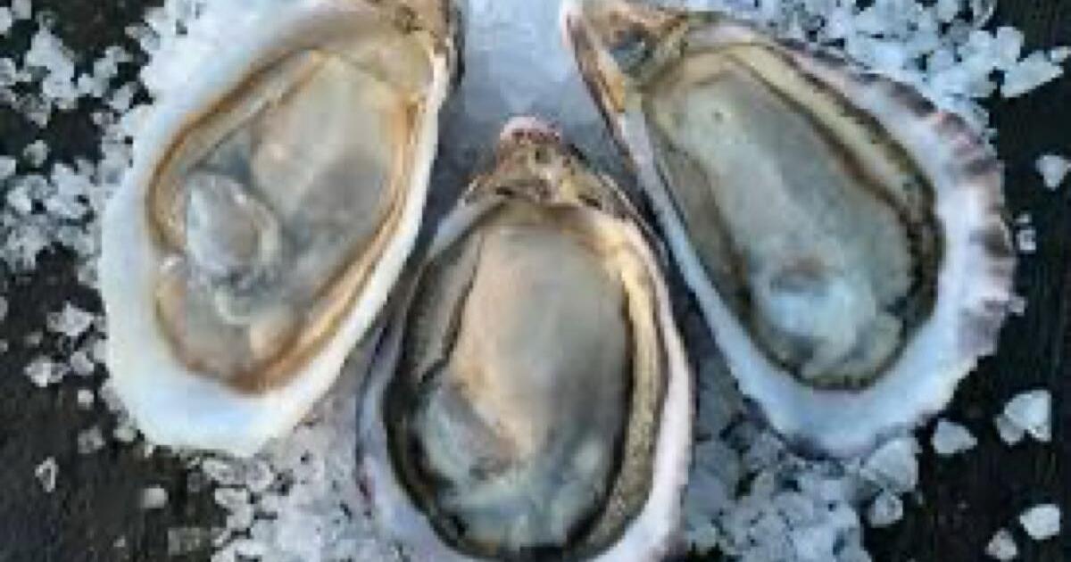 One bushel of oysters for 75 in Norfolk, VA For Sale & Free — Nextdoor