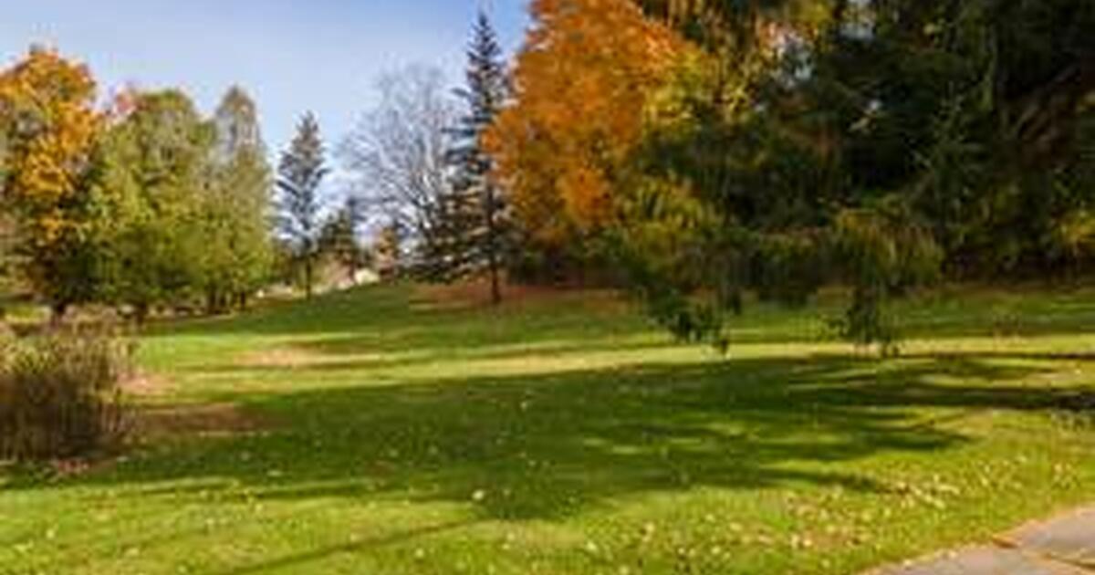 OUTDOOR SUMMER STORAGE ..!!! for 5 in Fort Johnson, NY Finds — Nextdoor