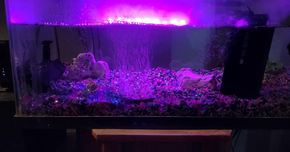 Free Fish Tank for Free in Casa Grande, AZ Finds — Nextdoor