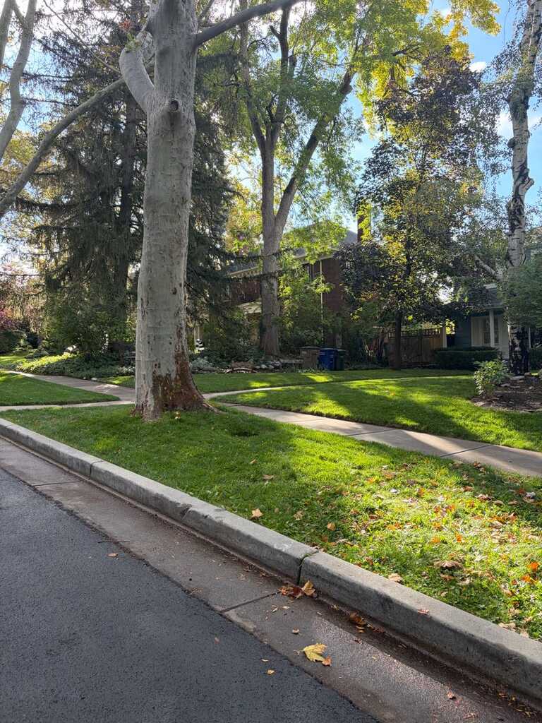 Continue mow lawn and pre for winter ❄️ at (801) 793-3045 thanks neigh — 3