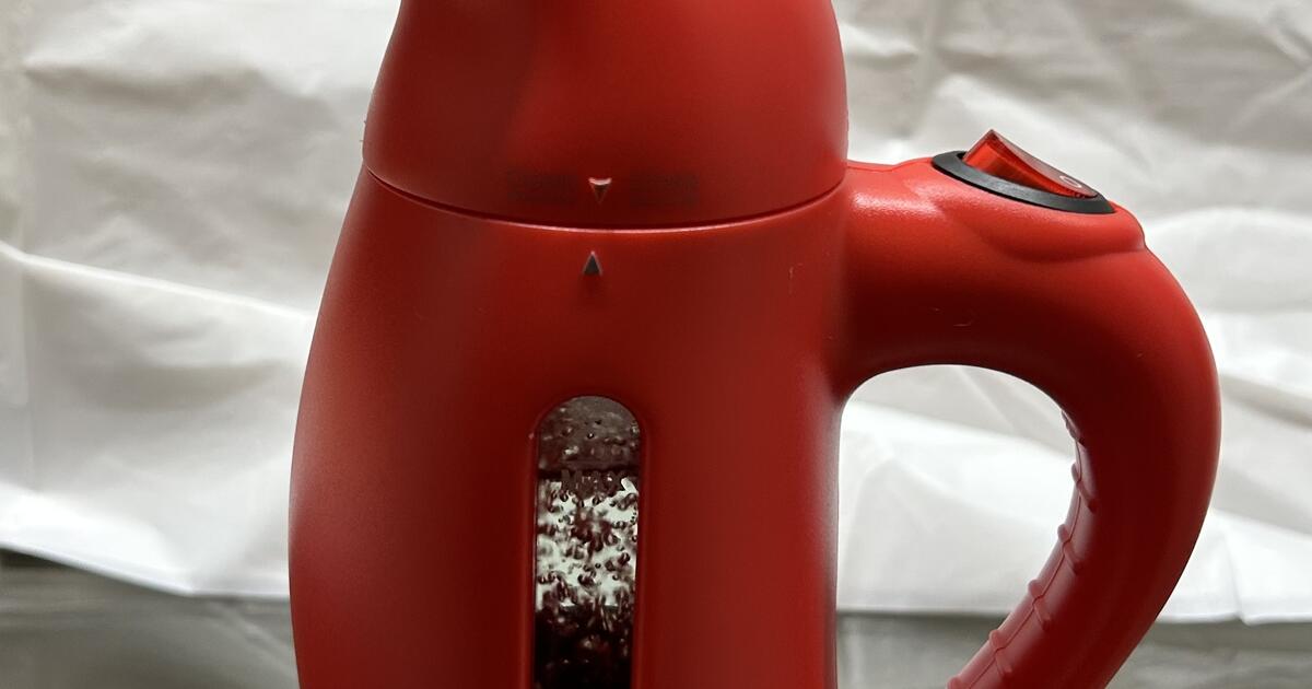 Sunbeam Compact Steamer for Fabrics and Garments for 15 in Holiday, FL