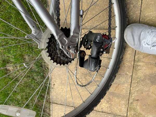 Falcon eclipse ladies bike on sale