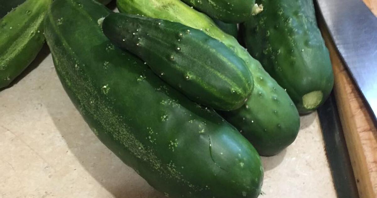 Cucumbers for Free in St. Paul, MN For Sale & Free — Nextdoor