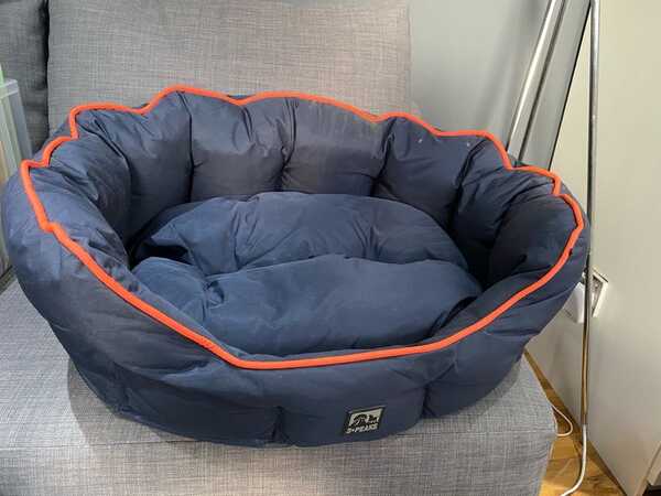 3 peaks dog bed large clearance