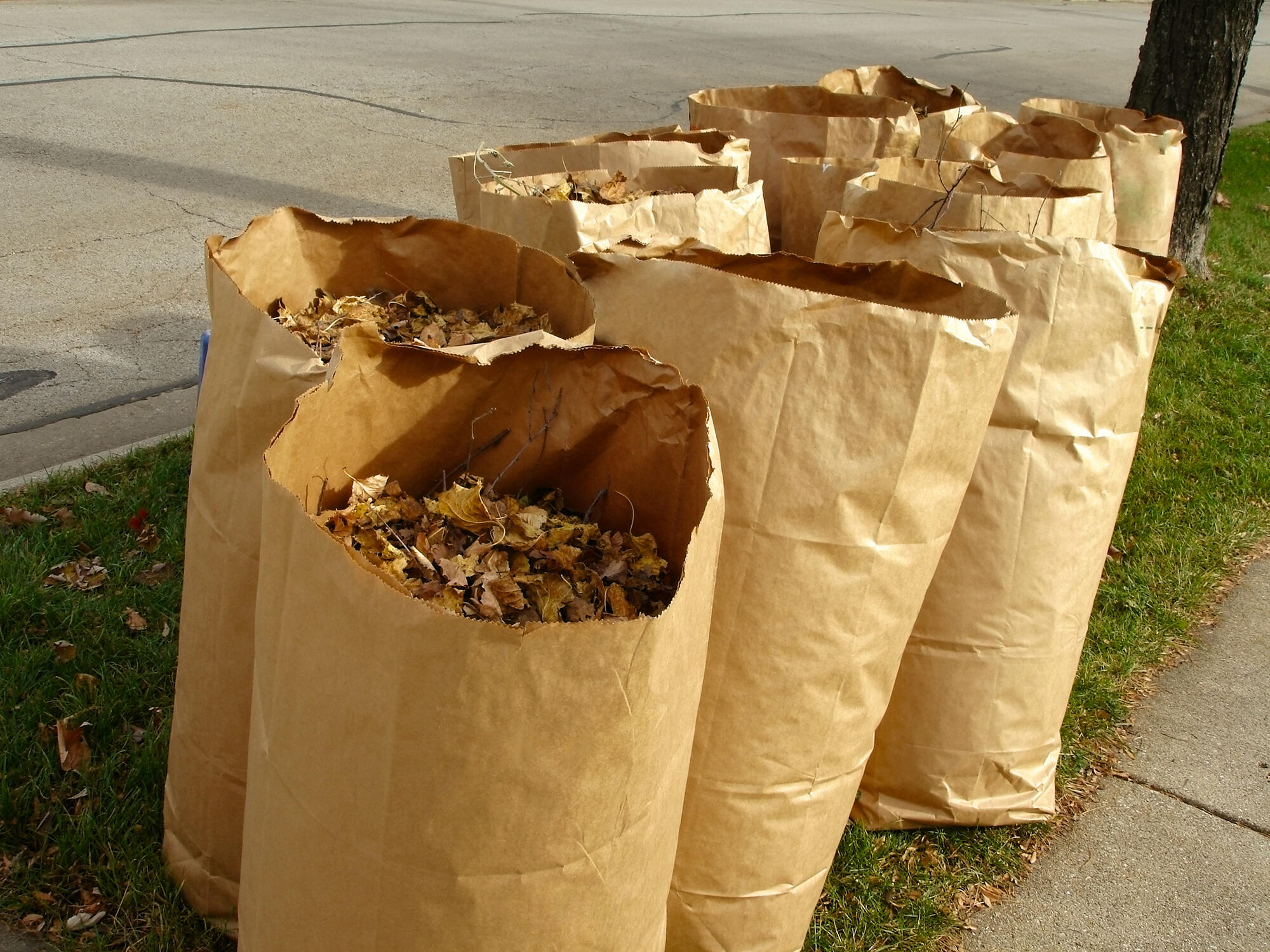 FINAL DAYS FOR YARD WASTE (Village of Downers Grove) — Nextdoor — Nextdoor