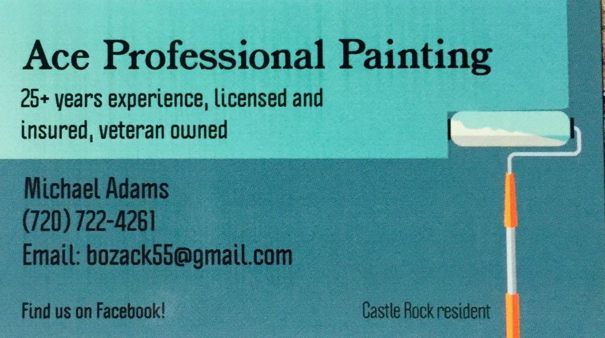 ace pro painters