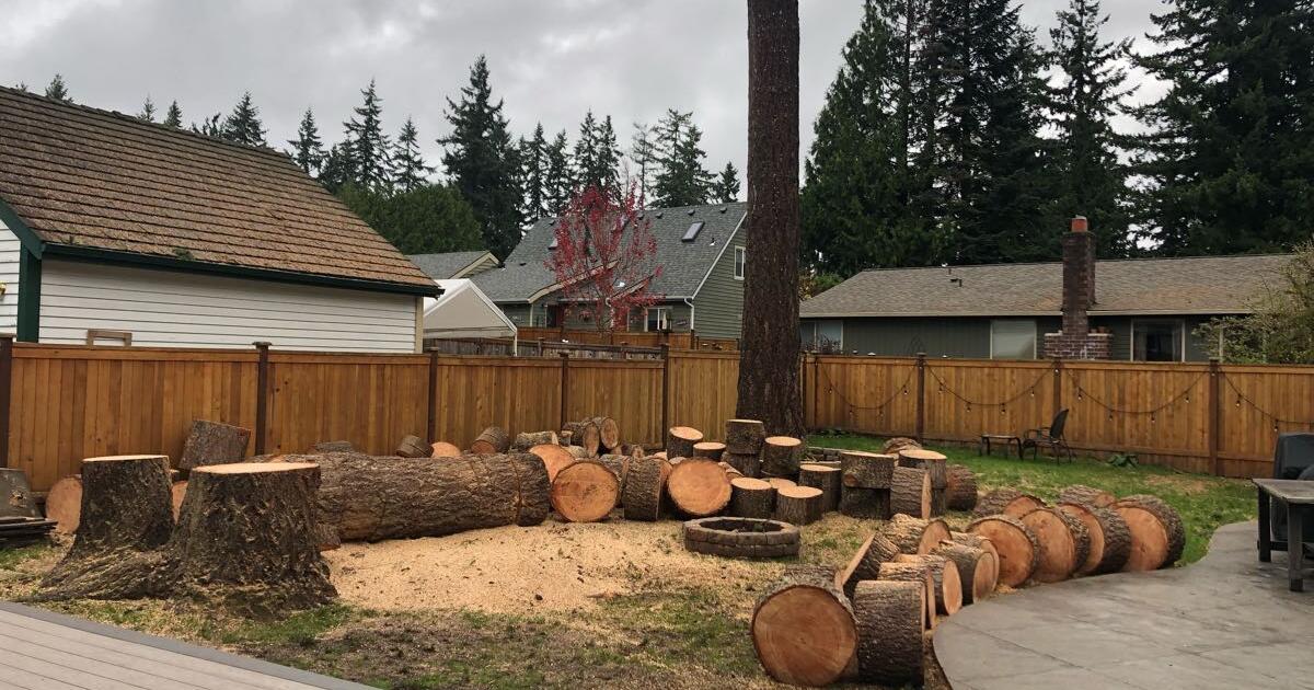 Free tree Rounds for Free in Bothell, WA | Finds — Nextdoor