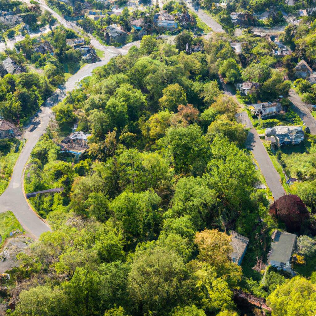 Sun Valley, Florham Park News, Crime, Lost Pets, Free Stuff