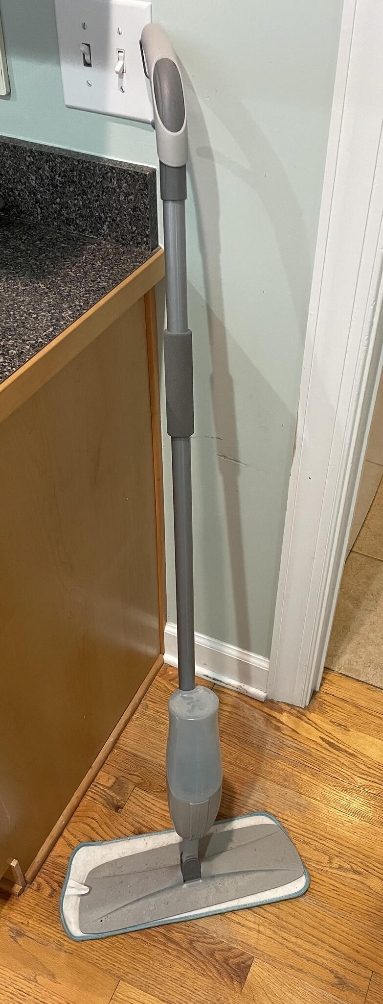 FREE Spray Mop