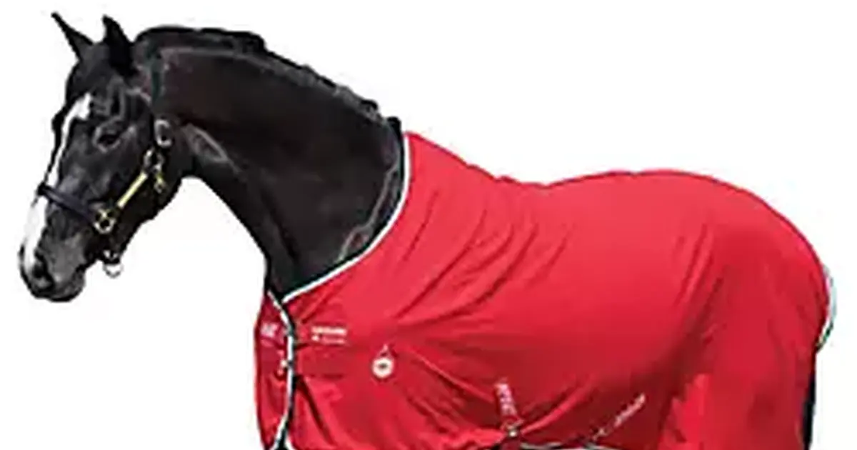 NEW Horseware Ireland Amigo Stable Sheet horse blanket size 81 for 40