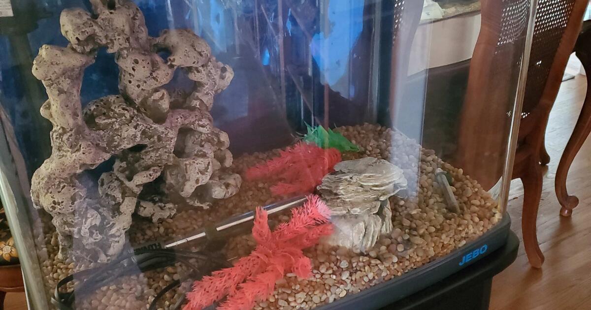 Jebo aquarium for Free in Glendale, CA For Sale & Free — Nextdoor