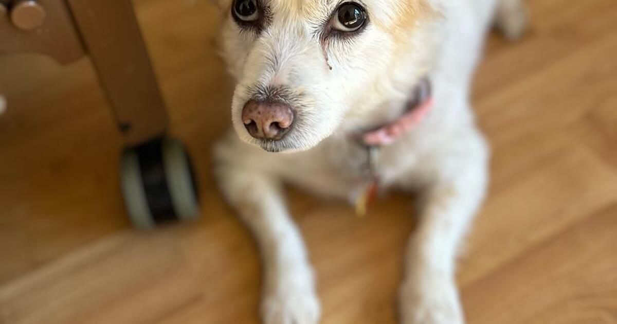 Day Away From Home for 70 in Virginia Beach, VA For Sale & Free