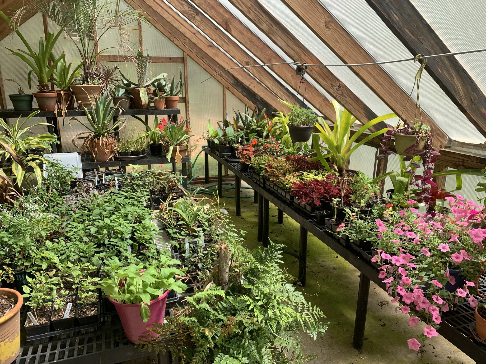 Spring Plant Sale! Saturday 4/26, 8am