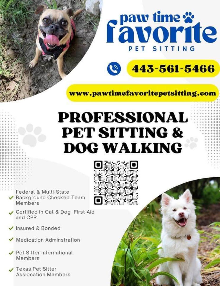 Loyalty Pet Care Dog Walking & Pet Sitting in Arlington to Occoquan Virginia