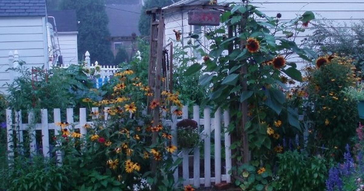 ANNUAL PLANT SALE Begins Saturday, May 6th, 2023 800am, 1422 Madison