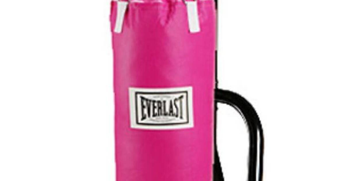 Everlast punching best sale bag pink