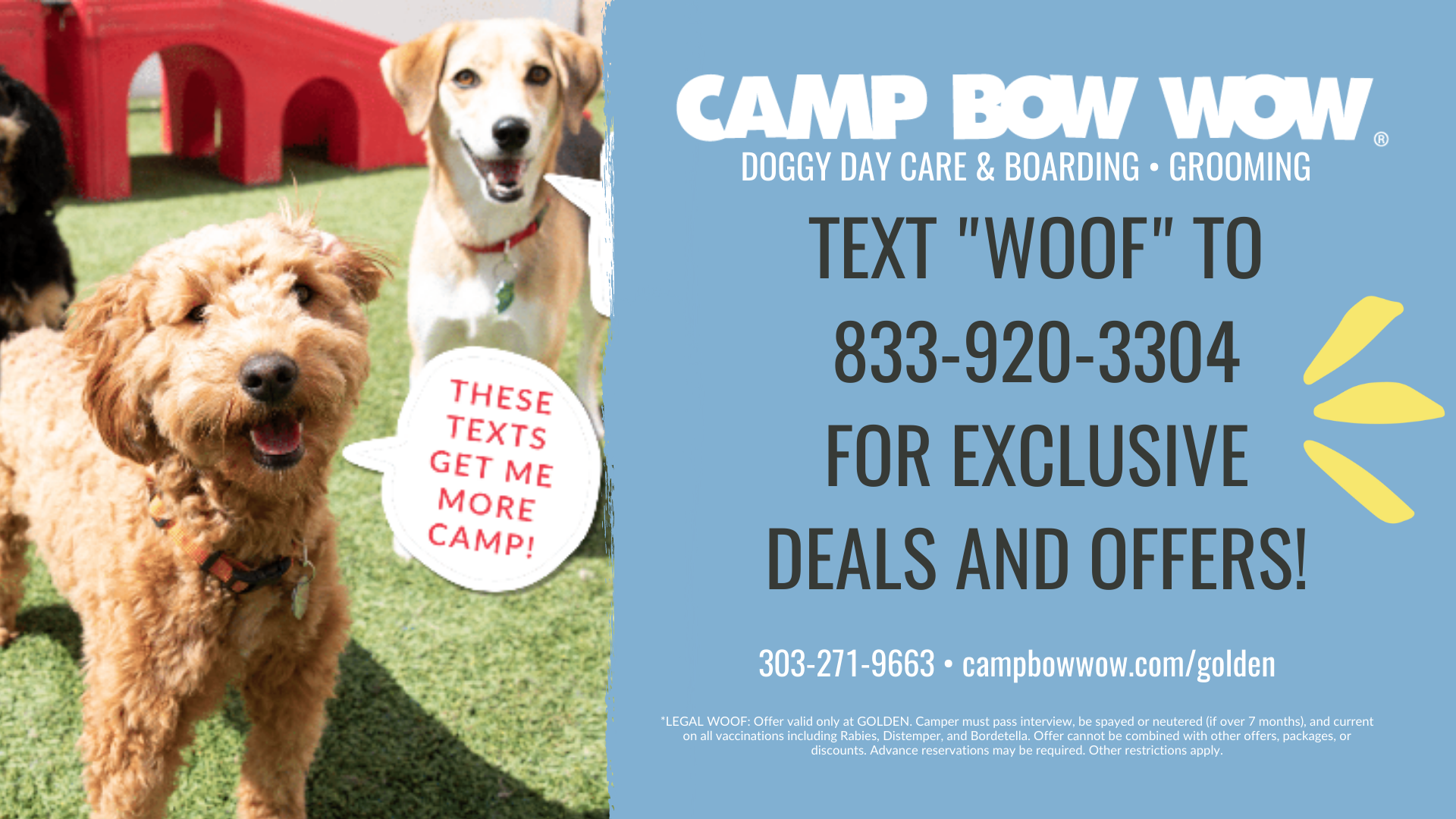 Camp bow wow outlet vaccinations