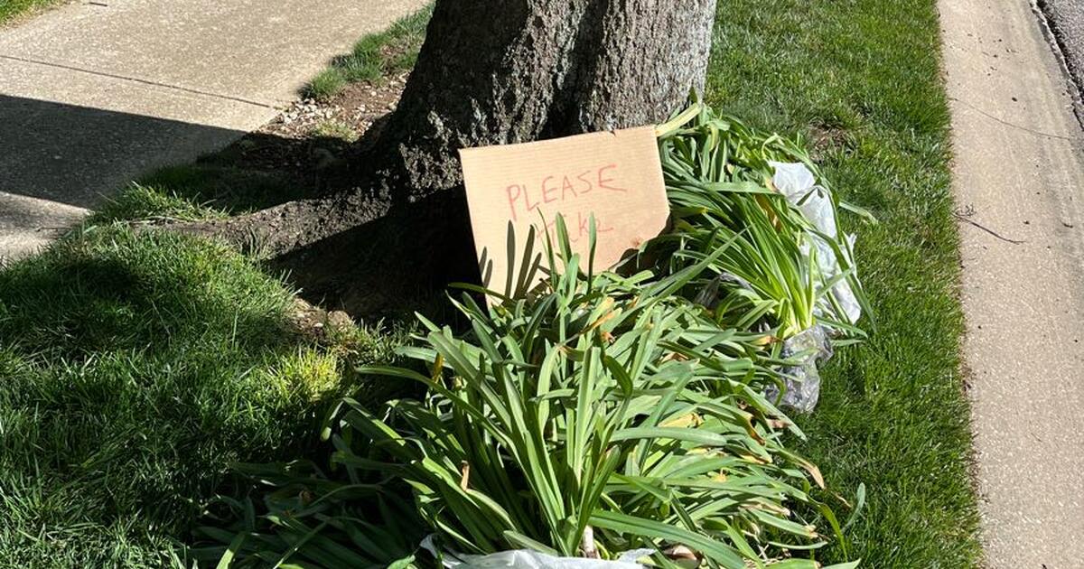 Free Bulbs! for Free in Lenexa, KS For Sale & Free — Nextdoor