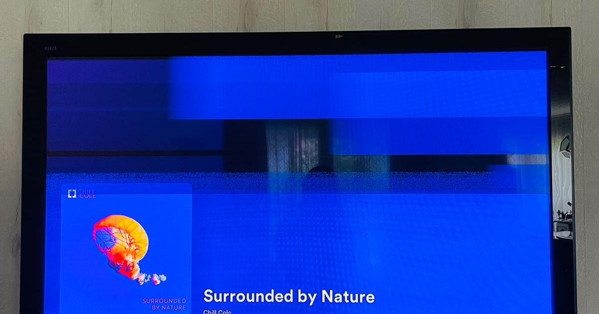 Panasonic Viera 50” Plasma TV TH50PX75U NEEDS TO BE REPAIRED/ FOR