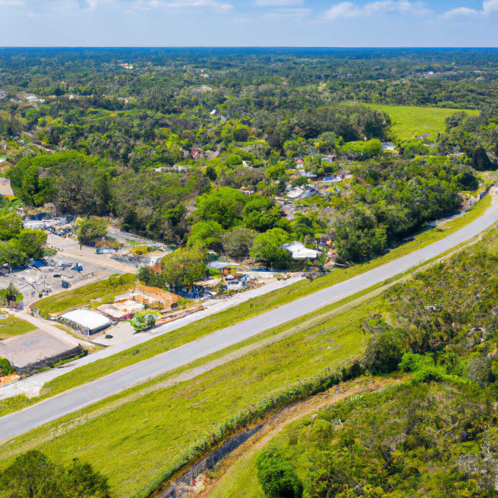 Monticello FL News Crime Lost Pets Free Stuff