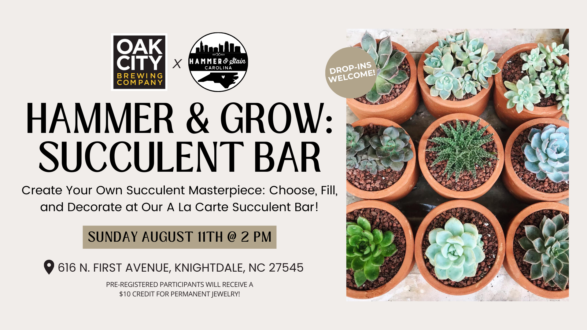 Hammer & Grow: Succulent Bar