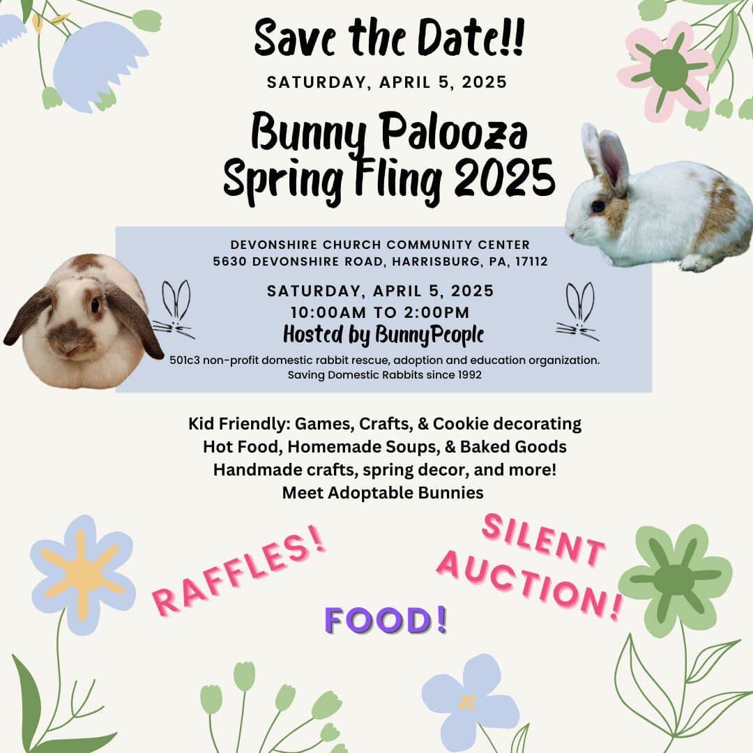 Humane Society Bunny Adoption Centers House Rabbit Society Rabbit