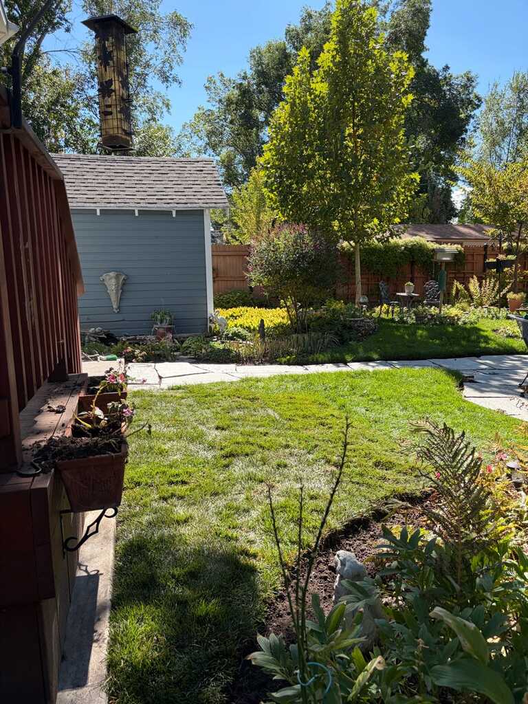 Continue mow lawn and pre for winter ❄️ at (801) 793-3045 thanks neigh — 2